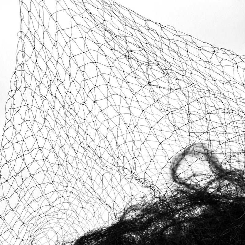 10x10M 8 GSM Commercial Fruit Tree Plant Knitted Anti Bird Netting Pest Net