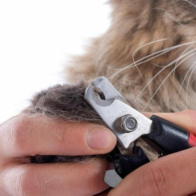 Dog Nail Cutter Clipper Claw & Nails Grinder Trimmer Grooming with Nail File