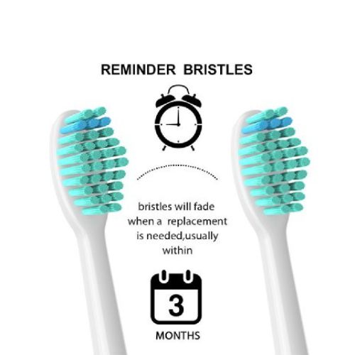 Generic Electric Replacement Toothbrush Head For brush