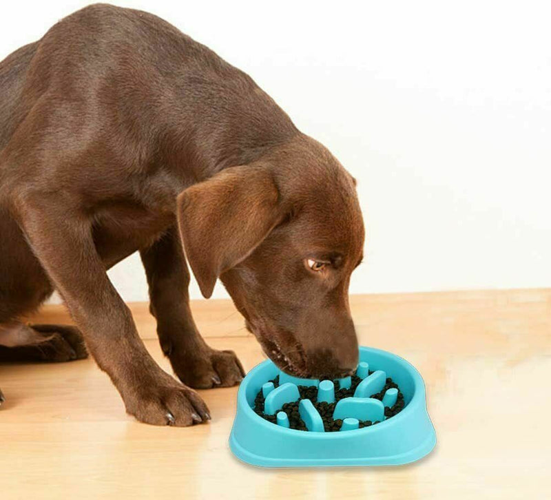 Pet Dog Cat Slow Food Healthy Anti Slip Gulp Feed Interactive Dish Bowl