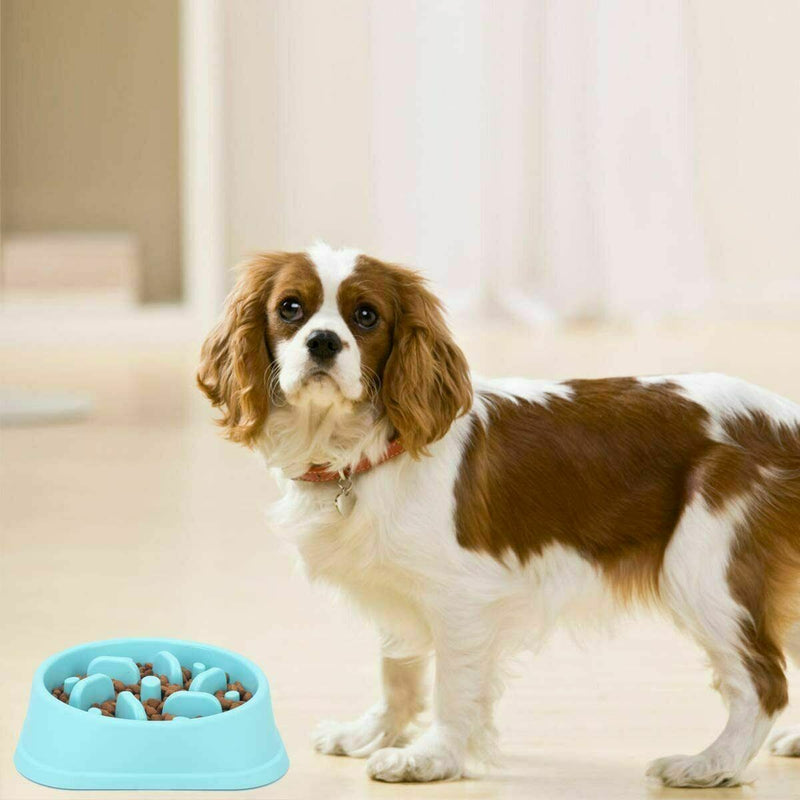 Pet Dog Cat Slow Food Healthy Anti Slip Gulp Feed Interactive Dish Bowl