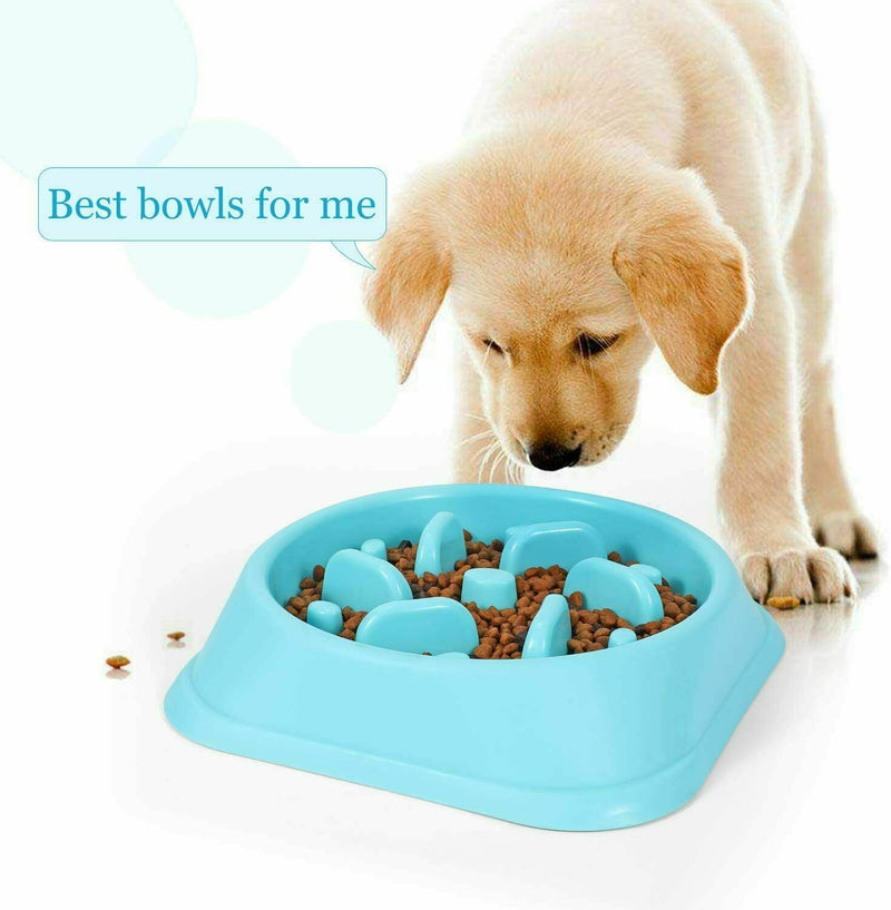Pet Dog Cat Slow Food Healthy Anti Slip Gulp Feed Interactive Dish Bowl