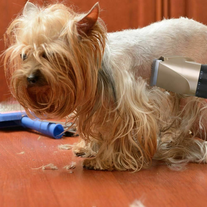 Pet Hair Grooming Trimmer Chargeable Grooming Clippers Animal Skin Saver Machine