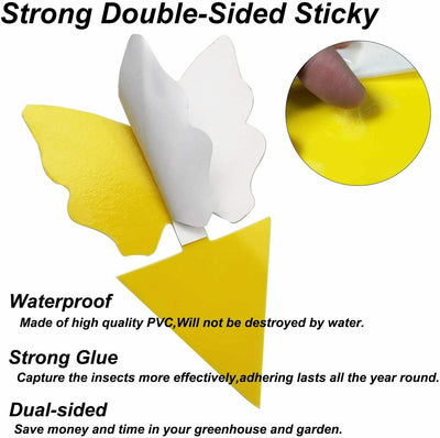 New 12Pack Yellow Sticky Traps,Fruit Fly Traps & Gnat Traps Indoor & Outdoor US