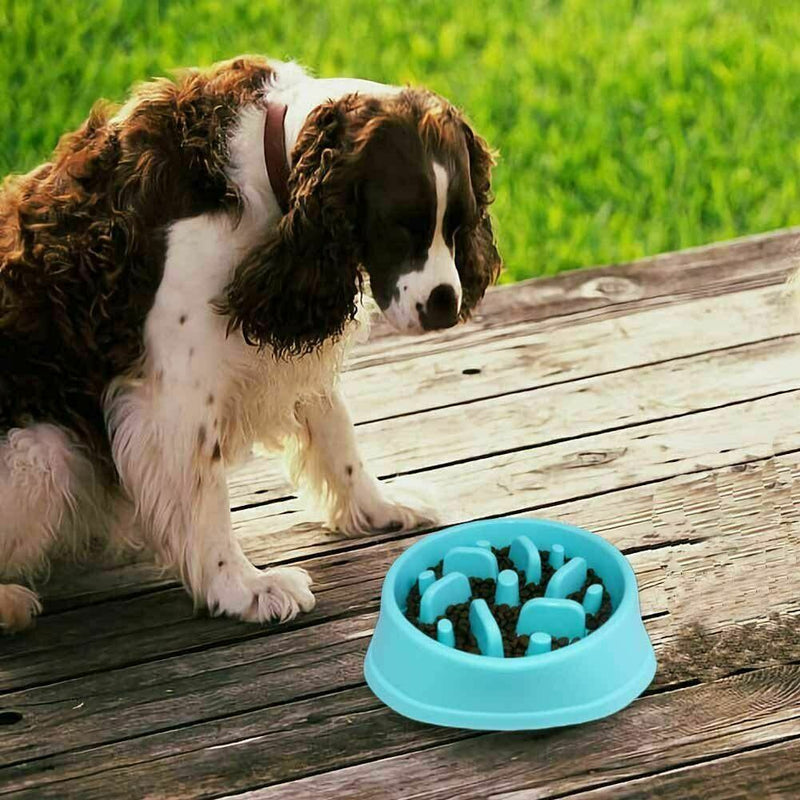 Pet Dog Cat Slow Food Healthy Anti Slip Gulp Feed Interactive Dish Bowl