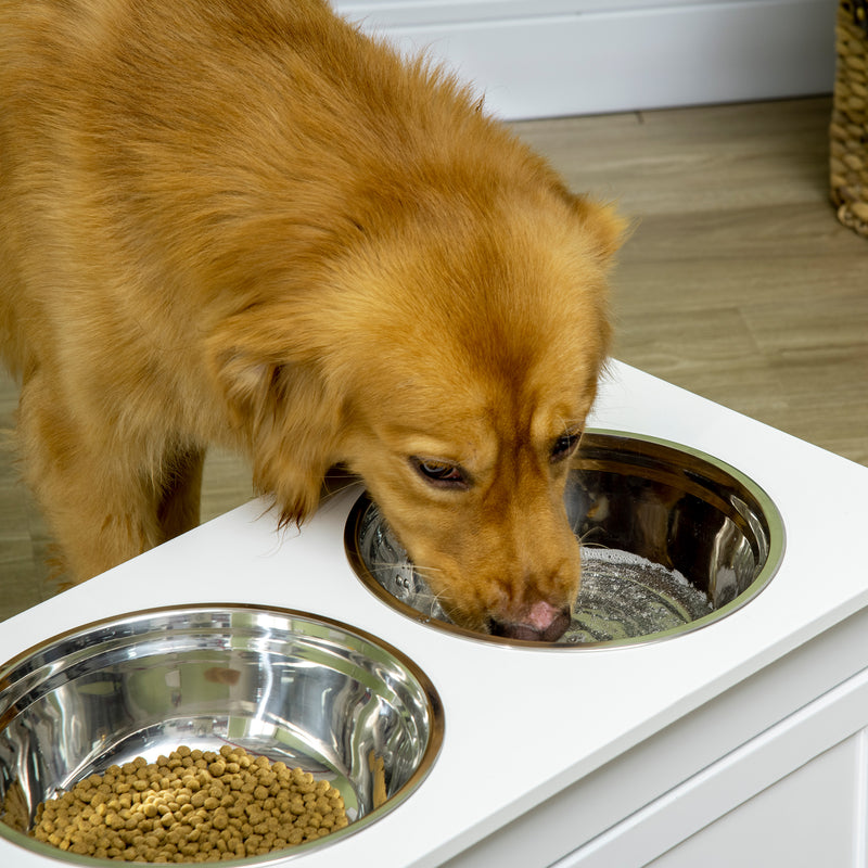 Elevated Dog Bowls Feeding Station w/ Stainless Steel Bowls Storage Drawer