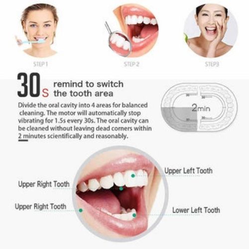 Rechargeable Electric Toothbrush Travel Case 8 Brush Heads  Whitening 5 Modes