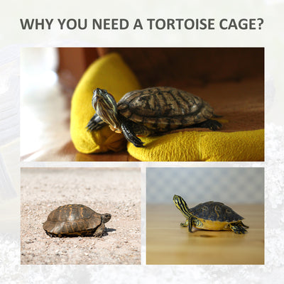 Double Area Turple/Tortoise House w/ Strong Wooden Build &amp; Carrying Handles