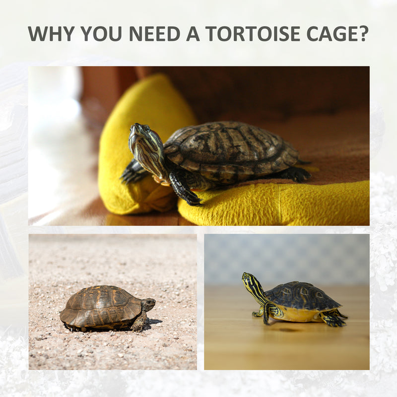 Double Area Turple/Tortoise House w/ Strong Wooden Build &amp; Carrying Handles
