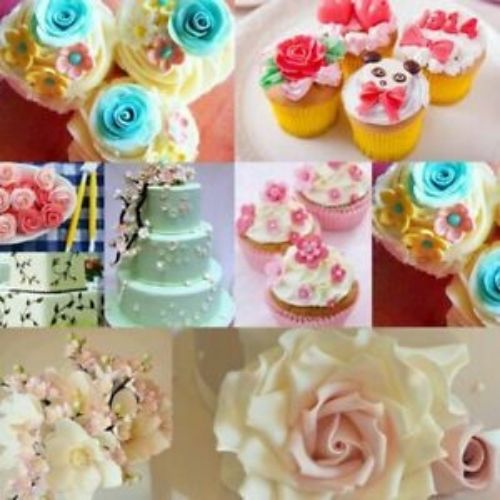 Cake Decorating Letters, Number, Flower Mold & Stamps Cookies 21pcs set Tools