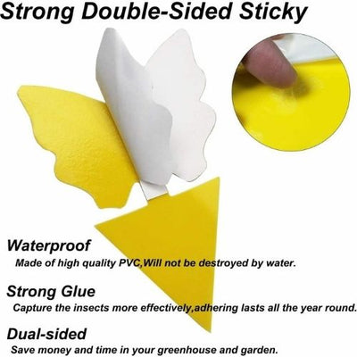 New 12Pack Yellow Sticky Traps,Fruit Fly Traps & Gnat Traps Indoor & Outdoor US