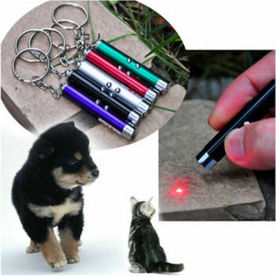 2 In1 Mini Red Laser Pointer Pen For Pet LED Light Child Keychain Pet Cat Toy