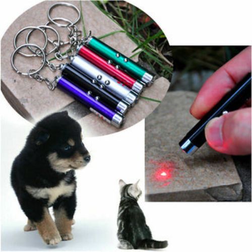 2 In1 Mini Red Laser Pointer Pen For Pet LED Light Child Keychain Pet Cat Toy