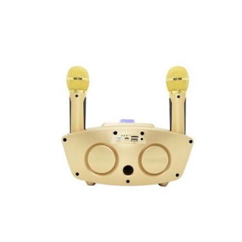 Bluetooth Family KTV Portable Speaker Smart Phone Karaoke with 2 Wireless Mic