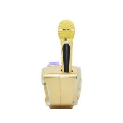 Bluetooth Family KTV Portable Speaker Smart Phone Karaoke with 2 Wireless Mic