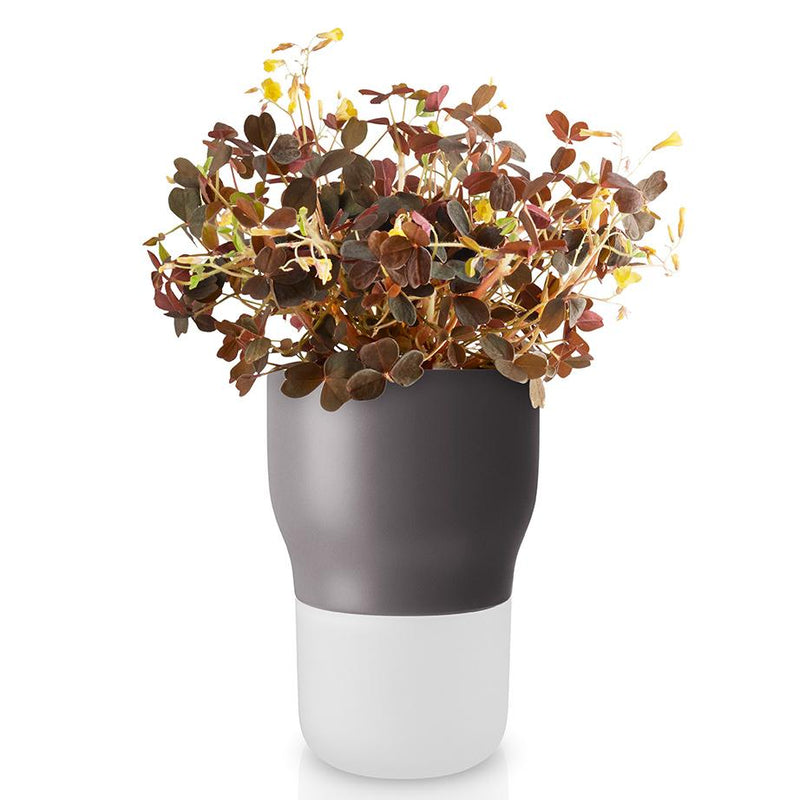 Self-Watering Pot