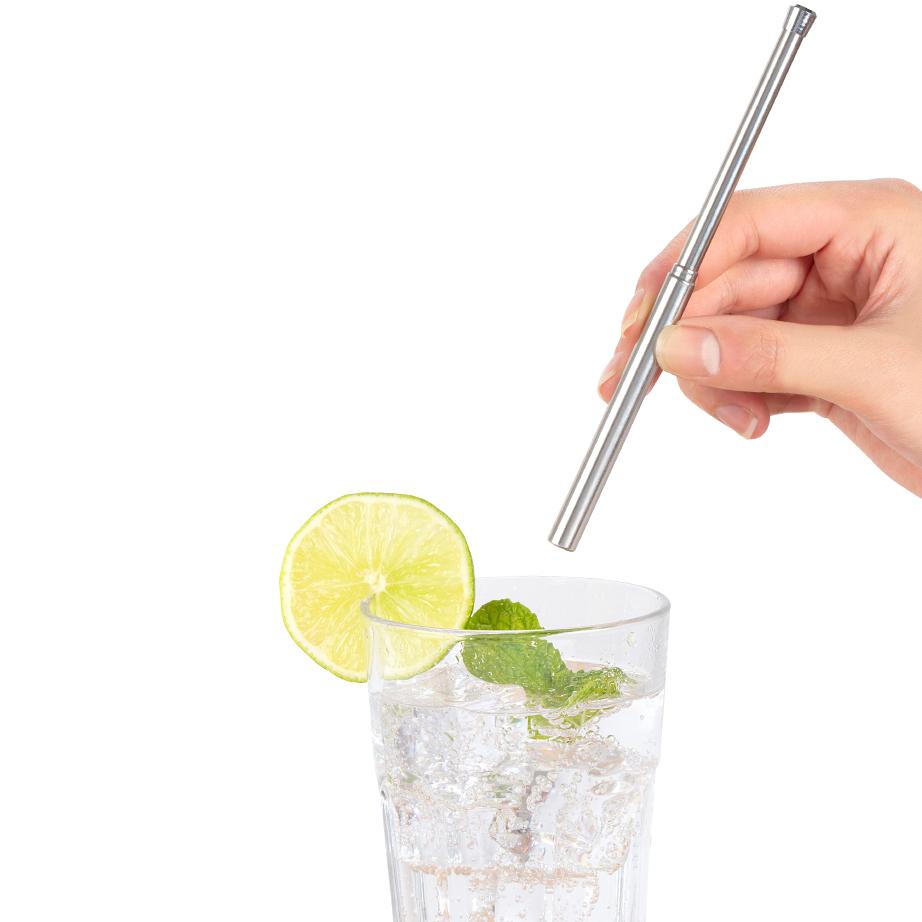 Travel Straw Set – Gadget Lab Canada