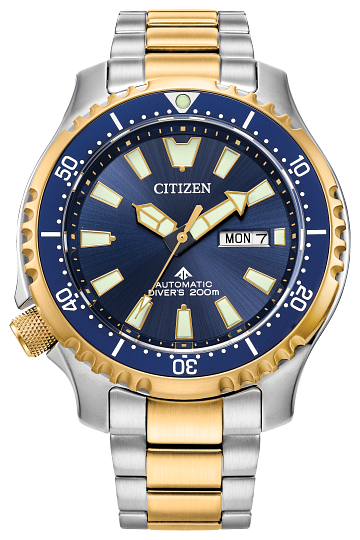 Citizen Promaster Dive Automatic