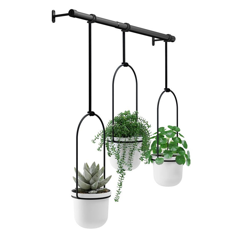 Triflora Hanging Planters