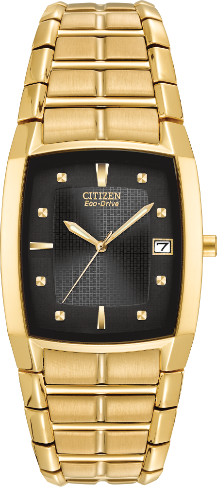 Citizen Eco-Drive Paradigm