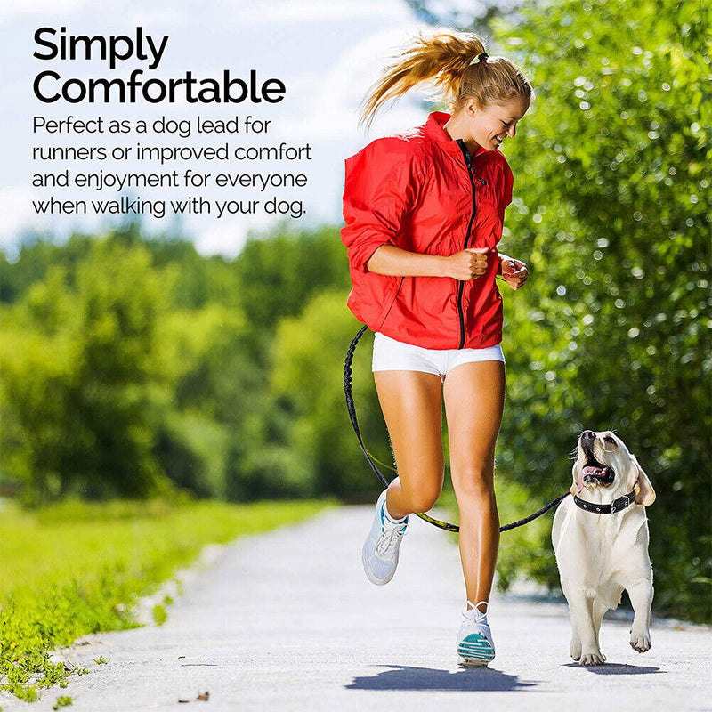 Double Retractable Hands Free Dog Leash - No Tangle for up to 150 lbs Large Dogs