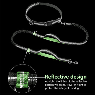 Double Retractable Hands Free Dog Leash - No Tangle for up to 150 lbs Large Dogs