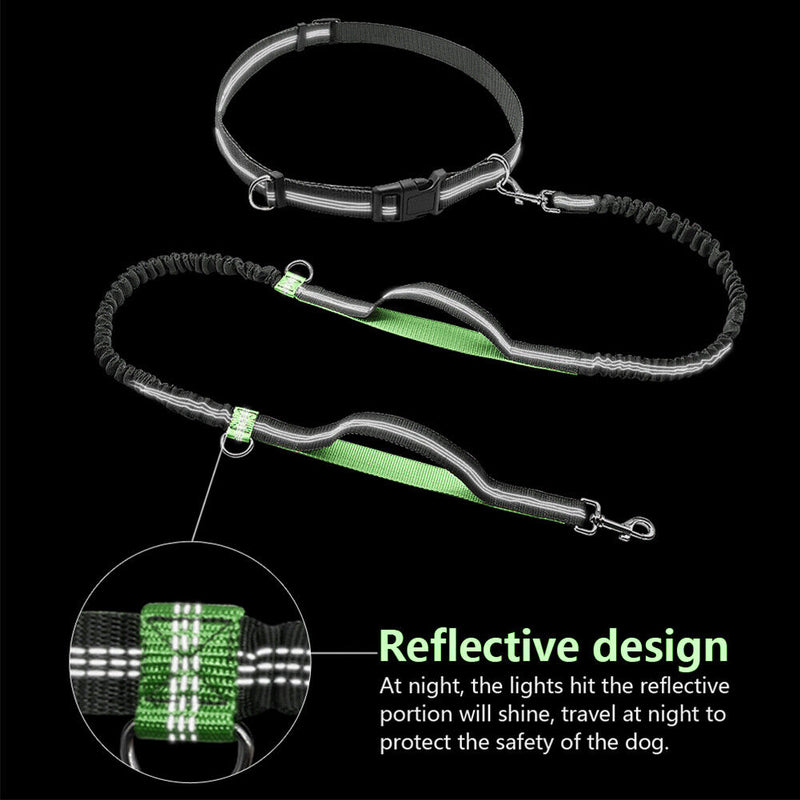 Double Retractable Hands Free Dog Leash - No Tangle for up to 150 lbs Large Dogs