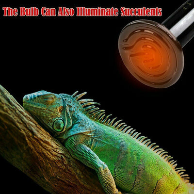 100W CERAMIC HEAT BULB REPTILE PET COOP GROW EMITTER BROODER INFRARED LAMP CA