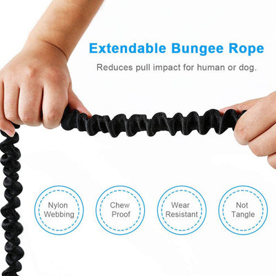 Double Retractable Hands Free Dog Leash - No Tangle for up to 150 lbs Large Dogs