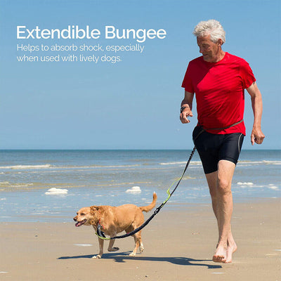 Double Retractable Hands Free Dog Leash - No Tangle for up to 150 lbs Large Dogs