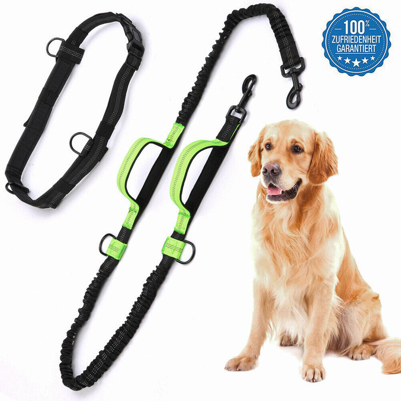 Double Retractable Hands Free Dog Leash - No Tangle for up to 150 lbs Large Dogs