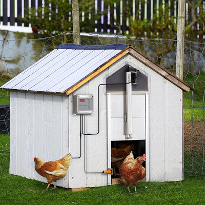 Battery Automatic Chicken Coop Door, Remote Operation, Poultry Coop Door 196393256435