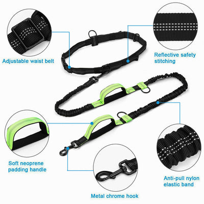 Retractable Hands Free Pet Dog Leash Dual Handle Leash Reflective Waist Belt CA