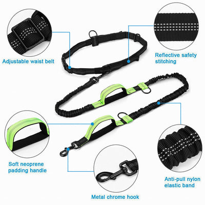 Double Retractable Hands Free Dog Leash - No Tangle for up to 150 lbs Large Dogs