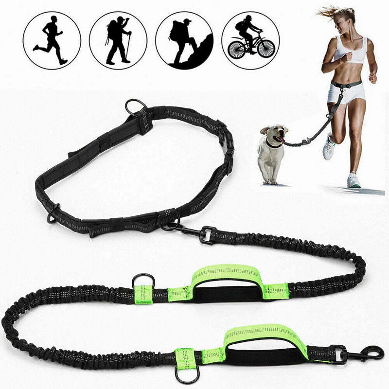 Retractable Hands Free Pet Dog Leash Dual Handle Leash Reflective Waist Belt CA