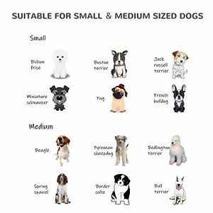 Wooden Large Dog House, Perfect for the Porch or Deck, 59" L, Grey