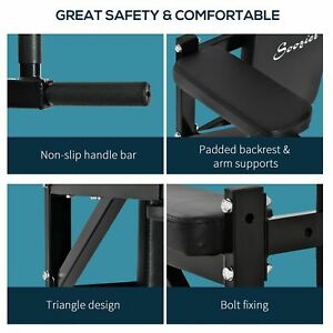 Wall Mounted Dipping Knee Raise Station Triceps Leg Dip Raise Bars Rack