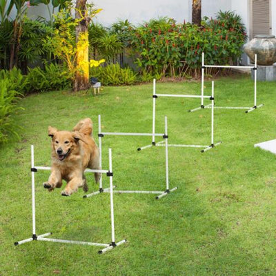 New Canine Agility Set Dog Jumping Training Obstacles Course Free Standing White 712190175450
