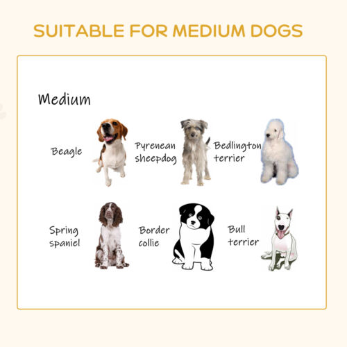 Elevated Dog Bed, Medium-size Pet Sofa Furniture w/ Drawer, Soft Cushion, Grey 196393066607