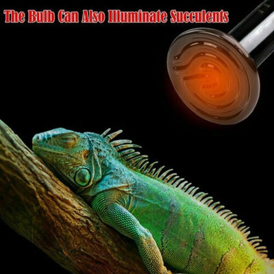 100W CERAMIC HEAT BULB REPTILE PET COOP GROW EMITTER BROODER INFRARED LAMP CA
