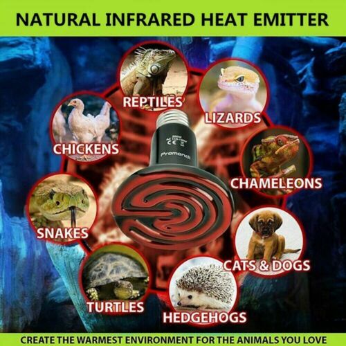 100W CERAMIC HEAT BULB REPTILE PET COOP GROW EMITTER BROODER INFRARED LAMP CA