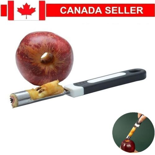 New Stainless Steel Core Seed Remover Fruit Apple Pear Corer Twist Kitchen Tool