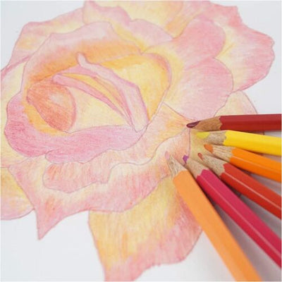 Water Coloured Pencils 24Colours for Artists Water colour Pencil for School Kids