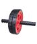 Fitness Ab Roller Double Wheel for Home Gym Abdominal Waist Workout ExerciseCA