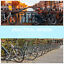 Bike Parking Stand Floor Wall Mount  Storage Locking Rack Holder Outdoor Steel
