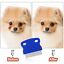 Dog Pet Grooming hair Comb Nit Hair Rid Headlice Superdensity Gently Removes
