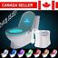 8 Colors Toilet Bowl LED Night Light Motion Activated Seat Sensor Lamp Bathroom