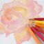 Water Coloured Pencils 24Colours for Artists Water colour Pencil for School Kids