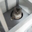 Wooden 2-Story Indoor or Outdoor Cat House W/ Escape Door, Cat Shelter, White 196393161340