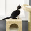 39.5&quot; Cat Tree Tower Cattail Weave W/ Cat Condo, Bed, Ladder, Washable Cushions